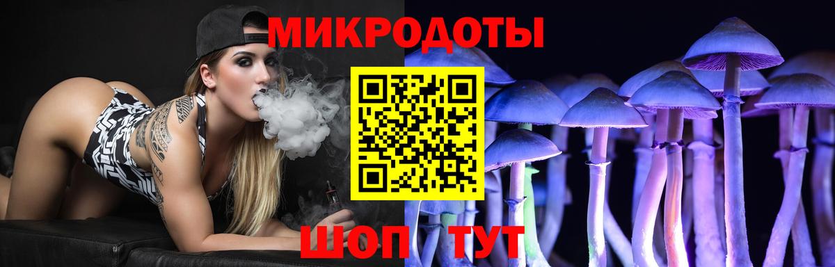 Алейск  Галлюциногенные грибы MAGIC MUSHROOMS  что такое наркотик  Вход с VPN  Псилоцибиновые грибы мицелий 